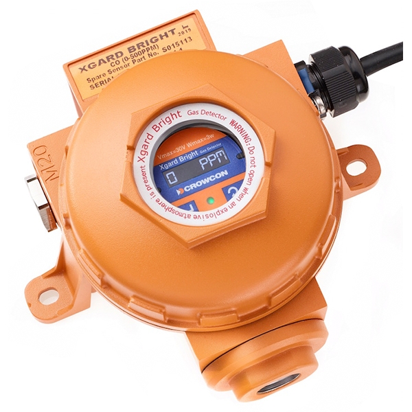 Marine Gas Detectors, Portable & Fixed Systems
